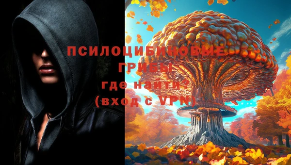 синтетический гашиш Козловка