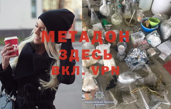 сатива Кодинск