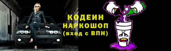 сатива Кодинск