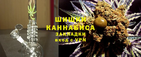 сатива Кодинск